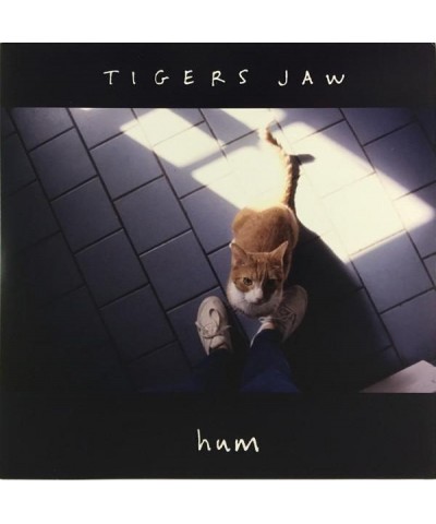 Tigers Jaw Hum Vinyl Record $3.50 Vinyl