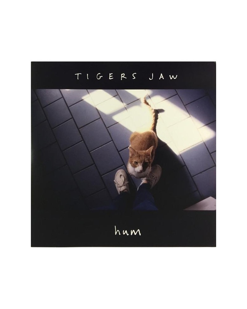 Tigers Jaw Hum Vinyl Record $3.50 Vinyl