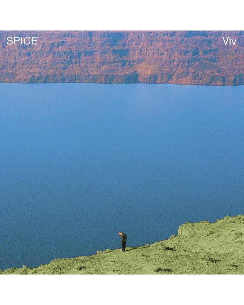 SPICE Viv Vinyl Record $10.20 Vinyl