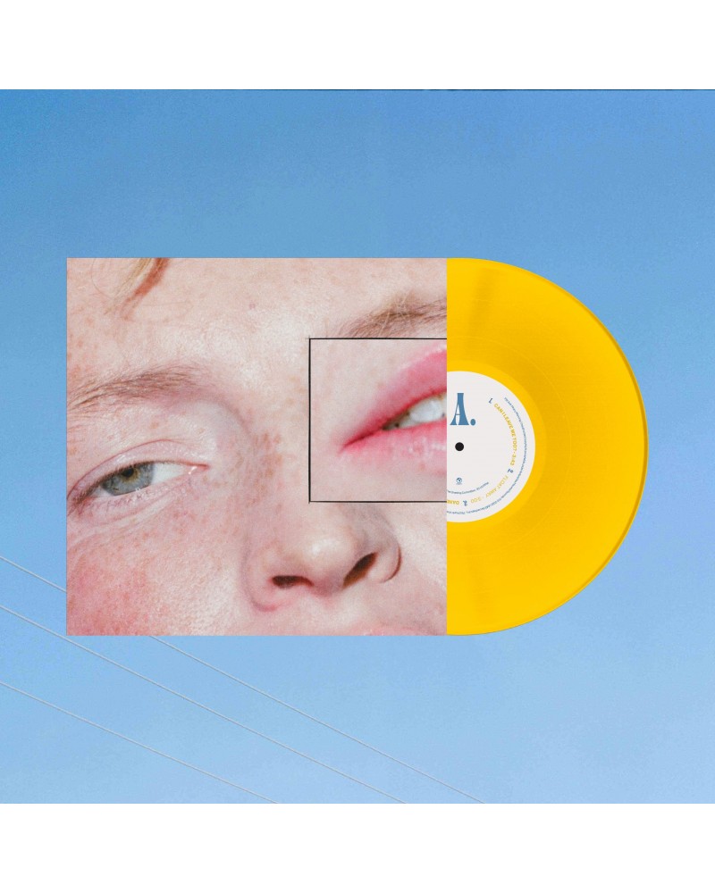 The Greeting Committee Dandelion 12 Yellow Vinyl $8.50 Vinyl