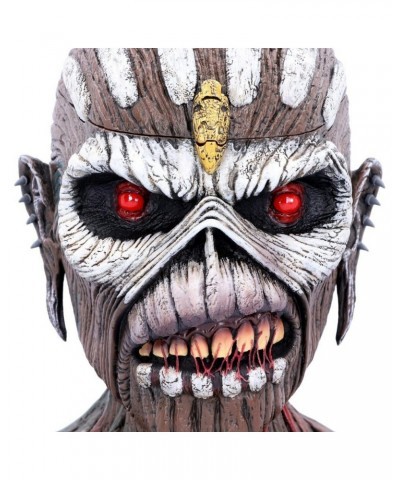 Iron Maiden Bust Box - The Book of Souls 2 $58.56 Books