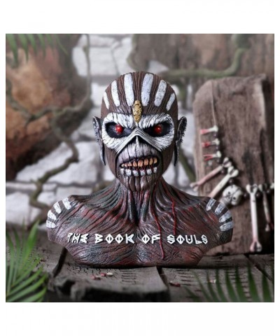 Iron Maiden Bust Box - The Book of Souls 2 $58.56 Books